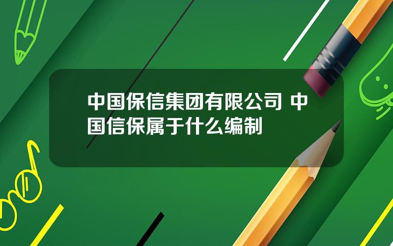 中国保信集团有限公司 中国信保属于什么编制